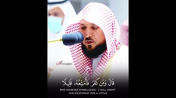 (وإذ قال ابراهيم ربِّ اجعل هذا بلدًا آمنا) تلاوة رائعة من الشيخ ماهر المعيقلي