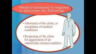 The Appeal Process - Hearing