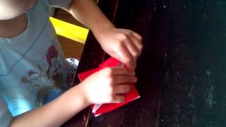 6 Yr Old Origami Of Sparrow