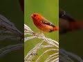 @beautiful places in the world 🌍#nature#beautiful#shorts#video♥️😘