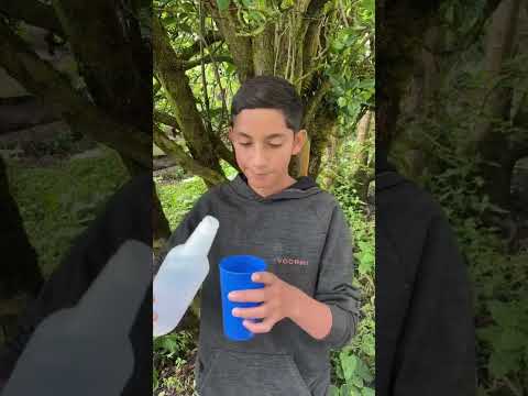 Elimina hongos en