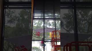 Motorized Blinds