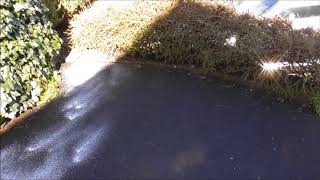 How to Clear Driveway Tarmac Moss With Soap Powder