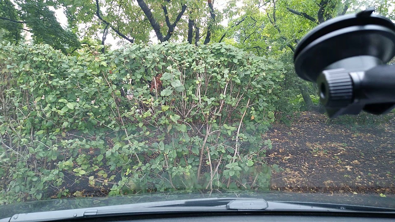 Autoboy Blackbox : Dashcam App - 2018-10-05 11:18:21 video phone beyonce mp3