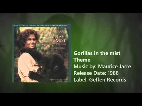 Gorillas in the mist • Theme