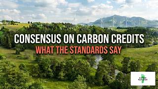 Consensus on Carbon Credits - What the Standards Say