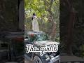 🔥🔱#girls_driving_status #shorts_viral #thardrive #shorts_viral #viralvideos #explorepage in