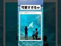 可愛すぎるw #shorts #おすすめ #おもしろ#面白い #海外#tiktokvideo #イルカ #プロポーズ #可愛い