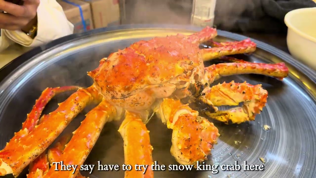 My First Snow Winter Trip in Hokkaido | 7 days in Sapporo | Otaru | Biei and Furano