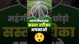 महंगी सिंचाई छोड़ो—अब सस्ता और स्मार्ट तरीका अपनाओ! #dripirrigation #farming #shorts #kisan #drip
