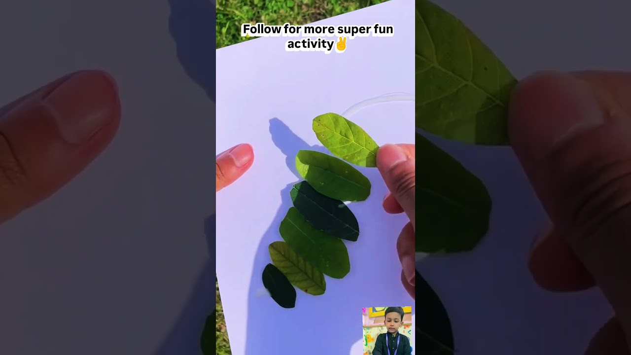 🐛 DIY Caterpillar Craft for Preschool Kids 