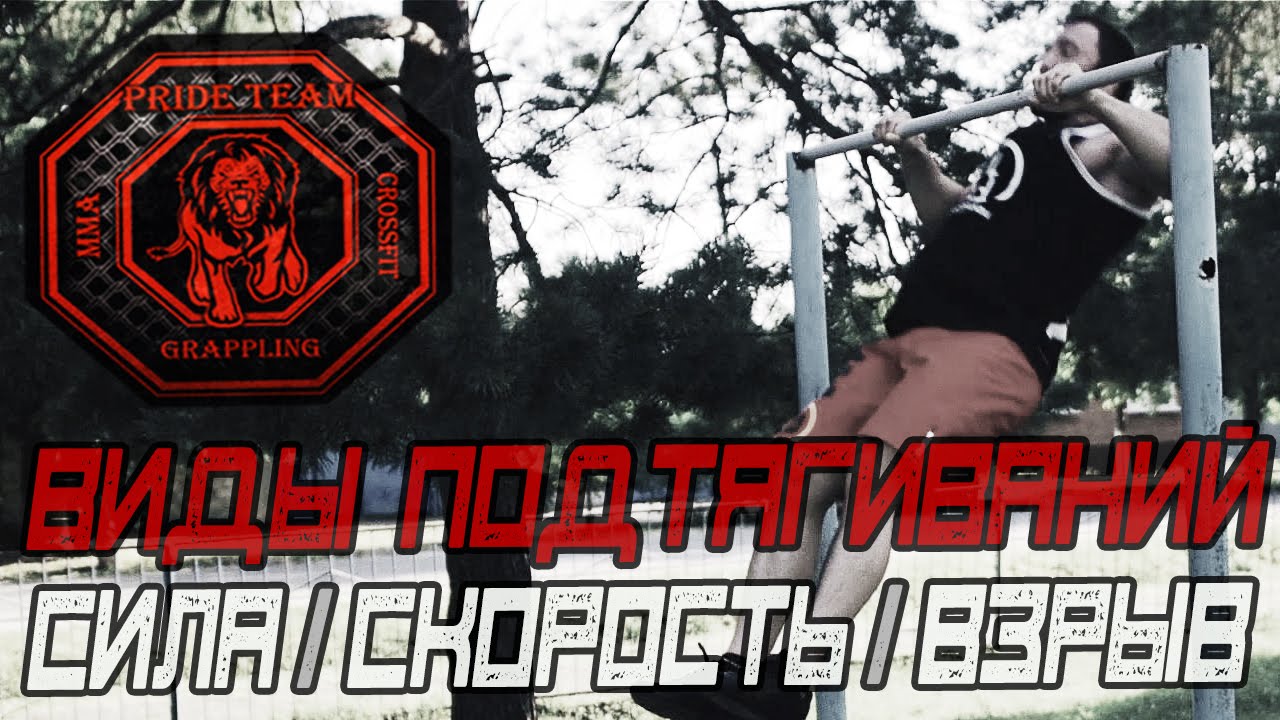 Виды Подтягиваний [Pride Team]