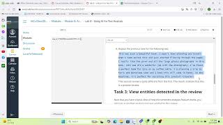 Lab 8 - Using AI for Text Analysis
