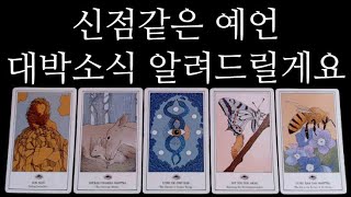 [타로카드]축하합니다대박소식❗️구체적•예상못한예언까지✨