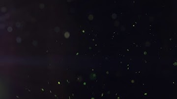 Glittering Sparkling Particles Randomly Spin In The Air With Bokeh - Free HD Vfx Footage