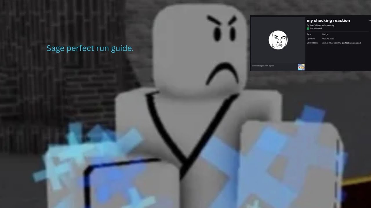 Item Asylum perfect run guides | SAGE