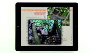 Spider Kids Magazine screenshot 5