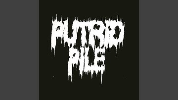 Food for the Maggots (Live)