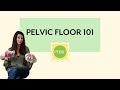 An Introduction to Your Pelvic Floor | Pelvic Health & Rehabilitation Center