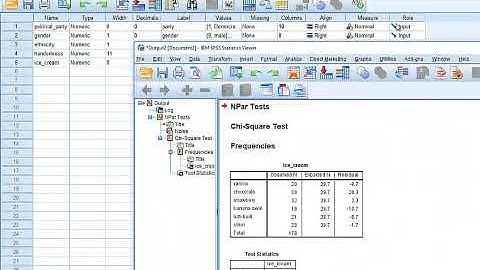 Chi square Goodness of Fit Test in SPSS