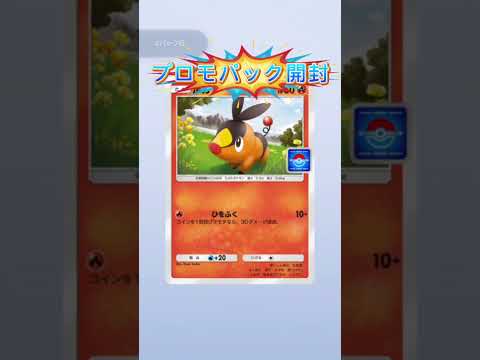 プロモパック開封 #ポケモンカード #ポケカ再販最新情報 #ポケカ #おれポケ #ポケモン #pokemon #pokemoncards #ポケモンsv #ポケカ開封 #ポケットモンスター