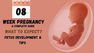 8th week of pregnancy all signs and symptoms: Fetus Growth and Development 8thweekpregnancy