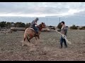 Daisy's 2nd Time Under Saddle | 1st Time Out Of the Round Pen! | Navajo Res. Horse