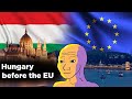 Hungary before joining the EU | Liberalization and privatization