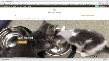 29.5 Homepage Featured Image Circles