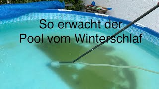 Pool nach dem Winter aufbereiten. Grünes Poolwasser