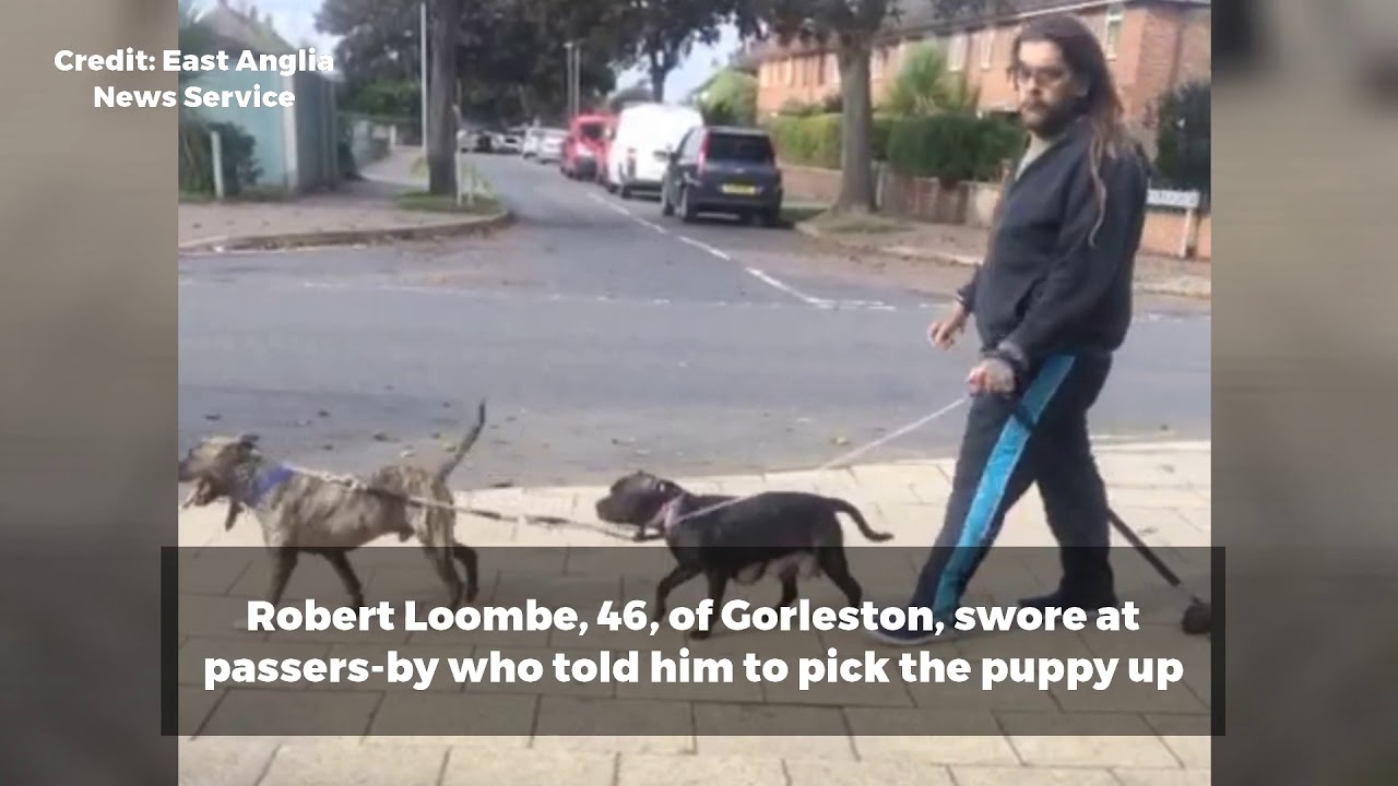 cruelty free kiko Shocking footage shows Gorleston man dragging puppy along pavement