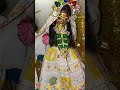 radhe radhe 🙏🙏✨✨✨❤ #flute #music #shyam #lifeisbutadream #radheshyam