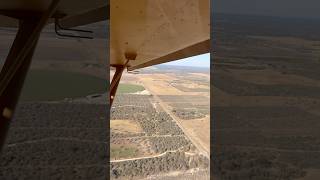Dry creek flying zenith 701