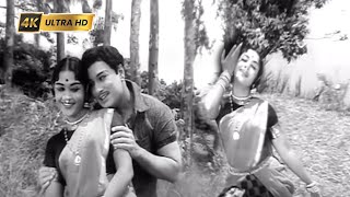 Download Lagu உள்ளம் ஒரு கோவில் பாடல் | Ullam Oru Kovil song | K. V. Mahadevan | T. M. Soundararajan \u0026 P. Susheela MP3