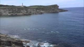 Delfines en Mataleñas