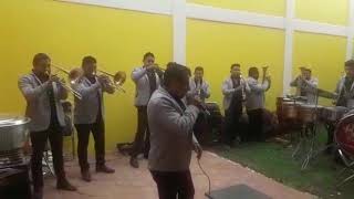 banda la purisima del valle de mexico