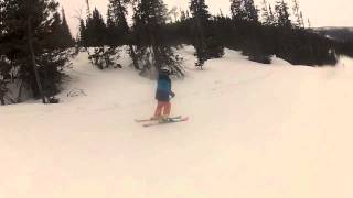nesbyen edit Petter