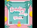 DRINKING JAMZ 3.0 - DJ LARKX