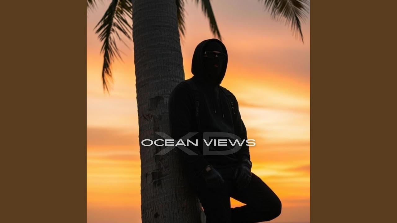 在 YouTube 上觀看「Skip the introduction」