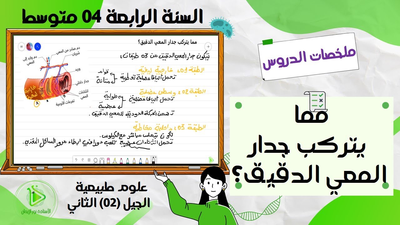 مما يتركب جدار المعي الدقيق؟ علوم طبيعية سنة 04 متوسط