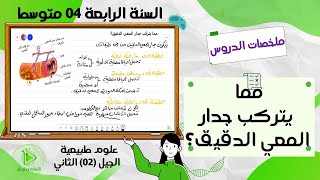مما يتركب جدار المعي الدقيق؟ علوم طبيعية سنة 04 متوسط