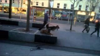 WP 20140410 010 2