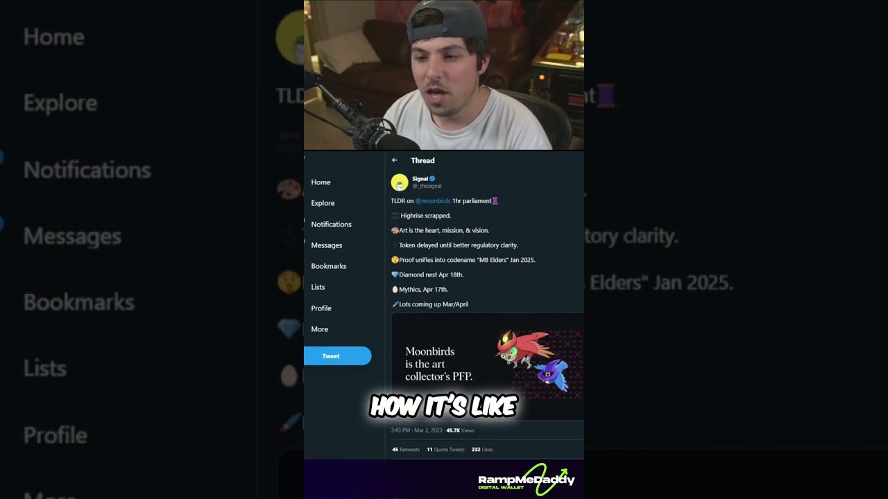 Moonbirds' High Rise Canceled! Art Focus & Token Delay Explained!