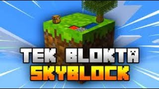 1 Blokta Skyblock Sınırsız Kaynaklı Skyblock Bölüm