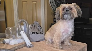 Pecute 7-in-1 Dog Grooming Vacuum & Dryer — Low-Noise, 10000Pa Power for Easy At-Home Grooming