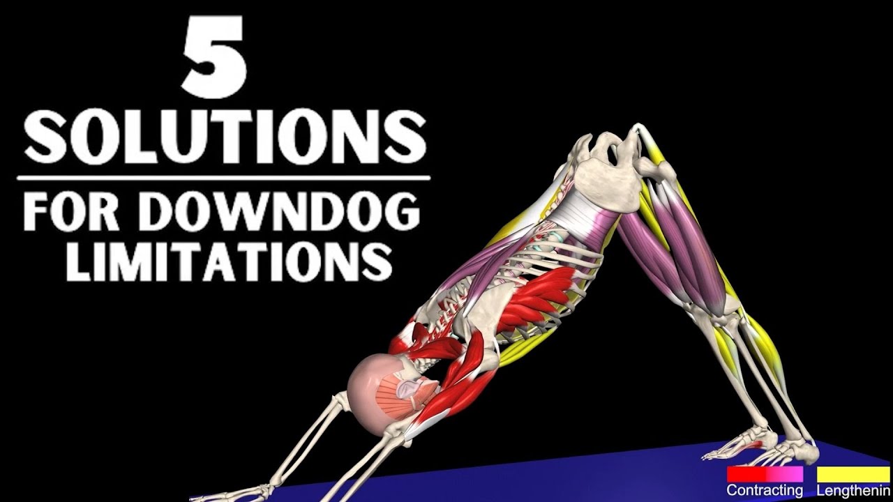 Downward Facing Dog | 5 Limitations & Solutions
