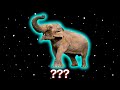                                                                 نجومي