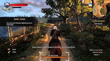 NVIDIA ShadowPlay 1080p 60FPS The Witcher 3: Wild Hunt