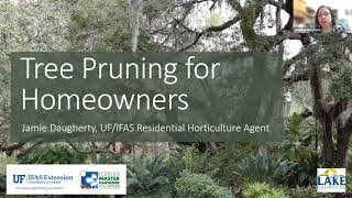 Tree Pruning for Homeowners