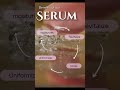 🧴 Stop guessing. Start using serums the RIGHT way. #doctortips #serum #doctor #healthtips #skincare